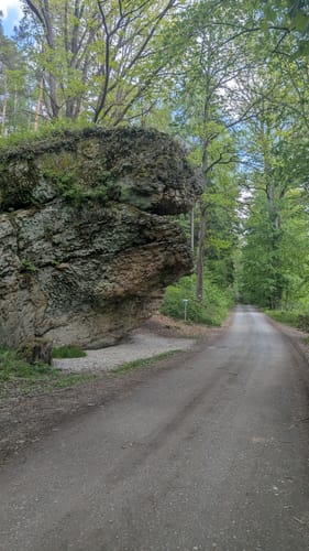 Mistelbach Rundwanderweg: Durch die Mistelauen