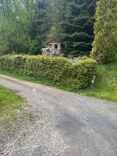 Von der Weißenburg rund um den Teufelsberg