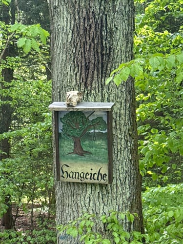 Von der Weißenburg rund um den Teufelsberg