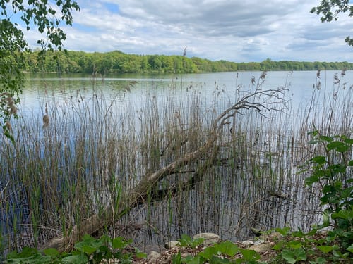 Um den Tiefwarensee