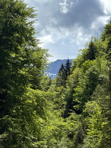 Tutzinger Hütte von Gschwendt