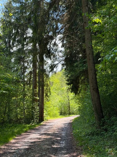 Tutzinger Hütte von Gschwendt
