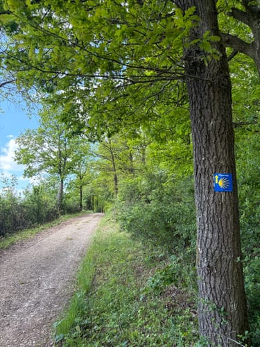 Jakobsweg von Bad Münstereifel nach Blankenheim