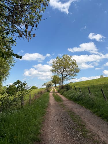 Jakobsweg von Bad Münstereifel nach Blankenheim
