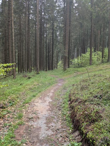 Um die Falkenstein Talsperre