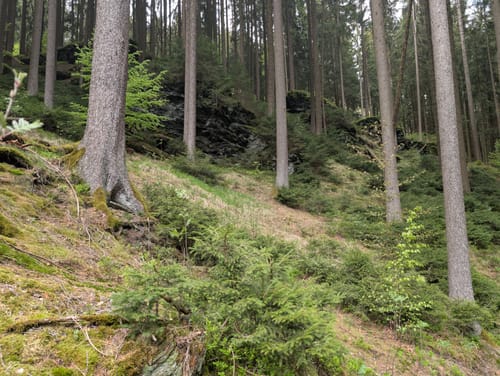 Um die Falkenstein Talsperre
