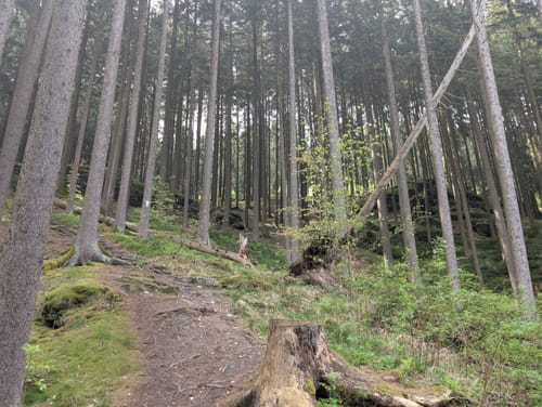 Um die Falkenstein Talsperre