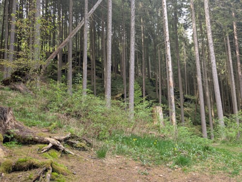 Um die Falkenstein Talsperre