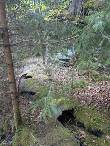 Um die Falkenstein Talsperre