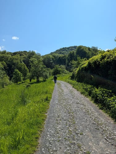 Rheinsteigrunde im Siebengebirge