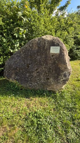 Wiesbaden - Eltville am Rhein - Kiedrich