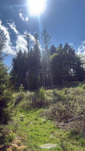 Rund um Bad Schwalbach