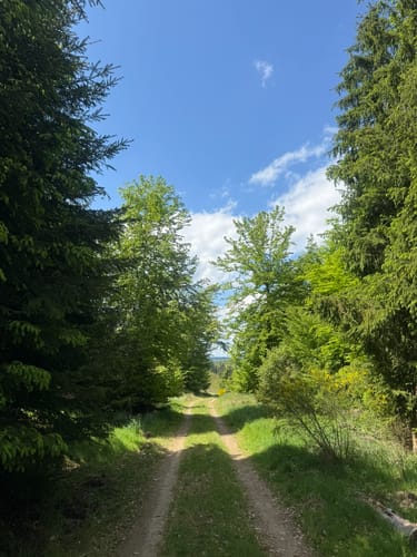 Rund um Bad Schwalbach