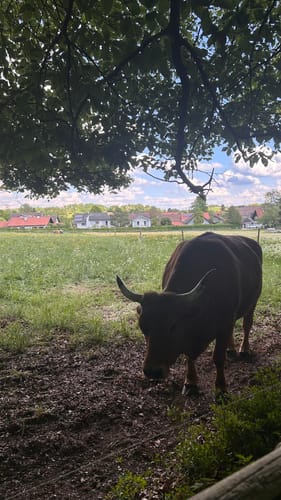 Von Herrsching zum Kloster Andechs