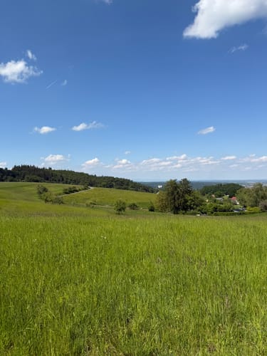 Rundwanderweg Fischbachtal 1 : Panoramaweg