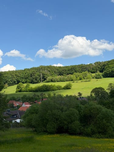 Rundwanderweg Fischbachtal 1 : Panoramaweg