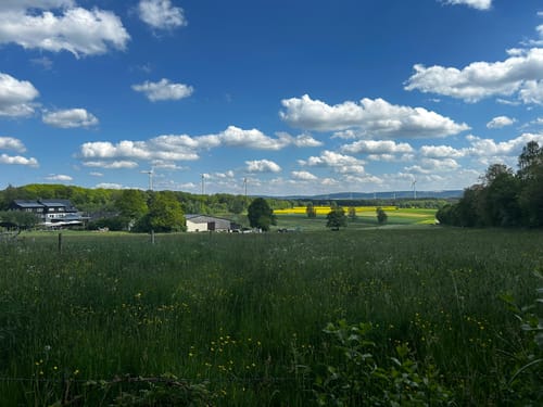 Klingelfloß (Traumschleife)