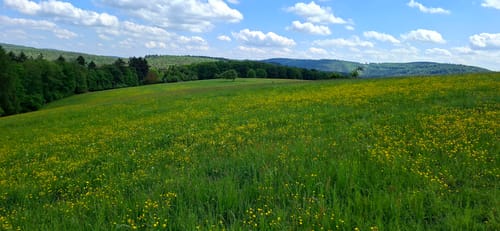 Heimbuchenthal : Zwischen Himmel und Hölle