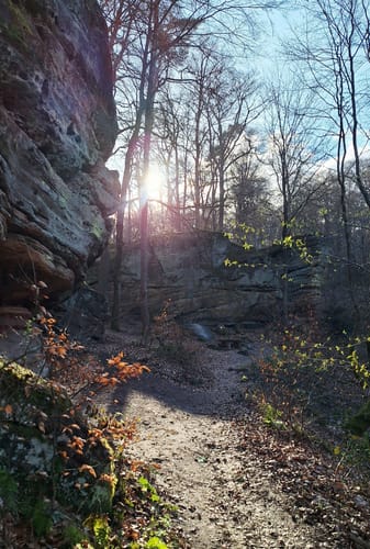 Kirkeler Tafeltour (Premiumwanderweg)