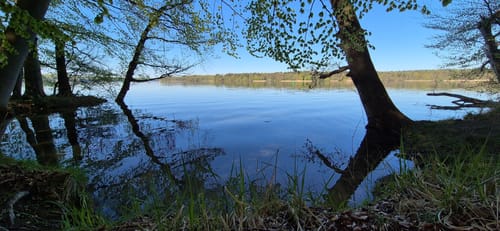 Am Werbellinsee