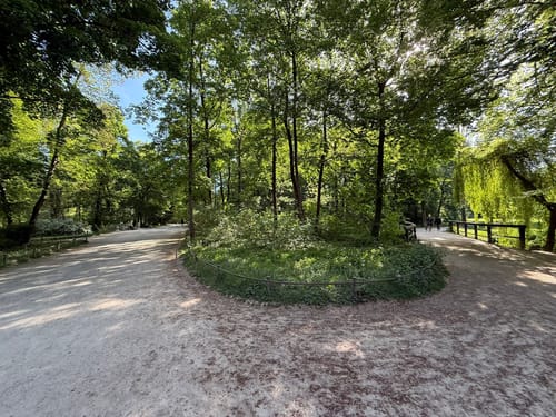 Englischer Garten ab Haus der Kunst