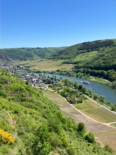 Moselsteig Etappe 18: Beilstein - Cochem