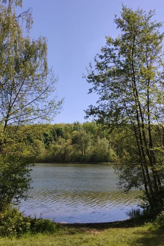 Rund um den Otto-Maigler-See