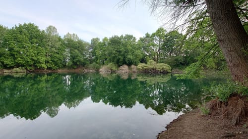 Latumer See und Park Schloss Pesch ab Lank-Latum