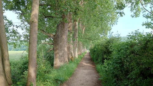 Latumer See und Park Schloss Pesch ab Lank-Latum