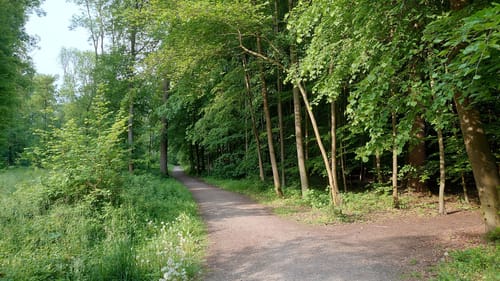 Latumer See und Park Schloss Pesch ab Lank-Latum