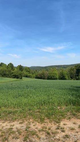 Weigendorf - Haunritz - Lichtenegg