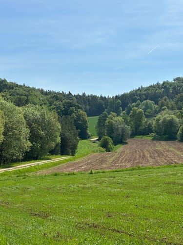 Weigendorf - Haunritz - Lichtenegg