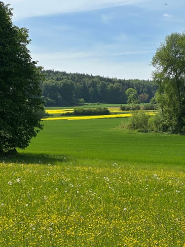 Weigendorf - Haunritz - Lichtenegg