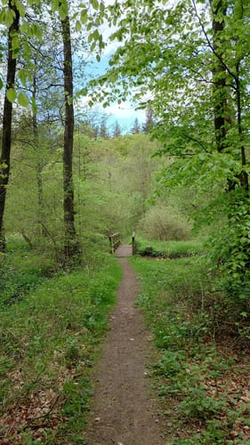 DVV Wandern - Durch das Urstromtal der Wallsbek (12km)