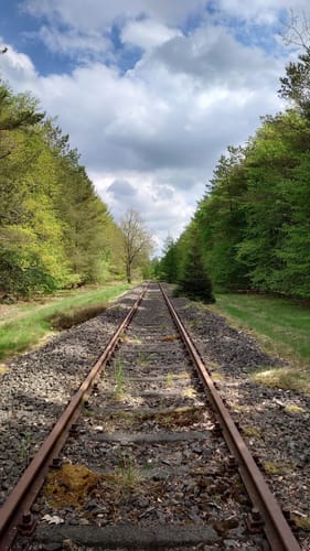 DVV Wandern - Durch das Urstromtal der Wallsbek (12km)