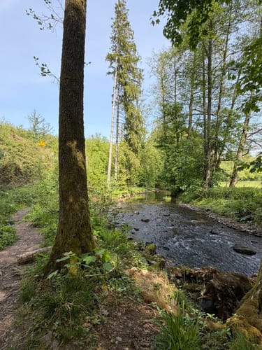 Im Dhünntal ab Altenberg