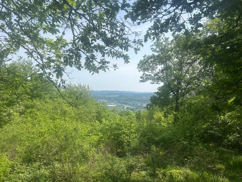Nahe-Felsen-Weg (Traumschleife)