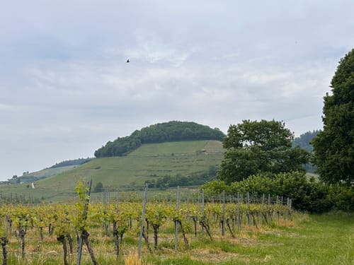 Zum Kaiserstuhlblick ab Muggardt