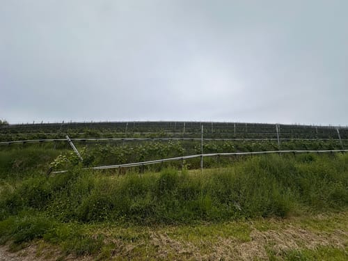 Zum Kaiserstuhlblick ab Muggardt