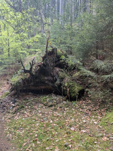 Um die Falkenstein Talsperre