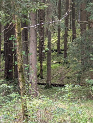 Um die Falkenstein Talsperre