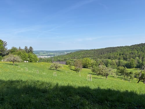 Victor-von-Scheffel Rundweg