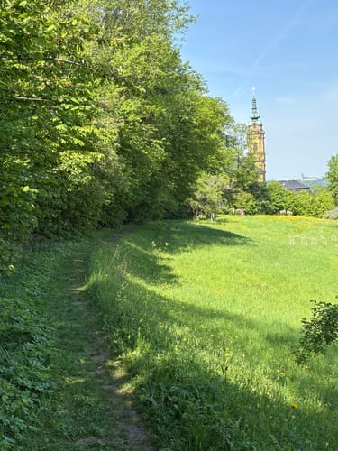 Victor-von-Scheffel Rundweg
