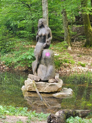 Rund um den Zauberwald (Traumschleife)