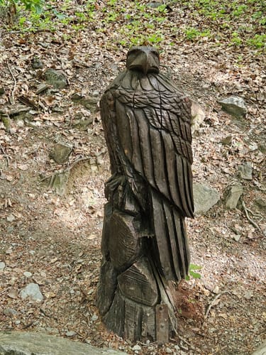 Rund um den Zauberwald (Traumschleife)