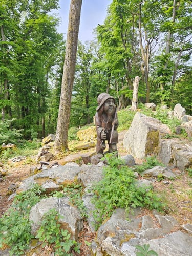 Rund um den Zauberwald (Traumschleife)