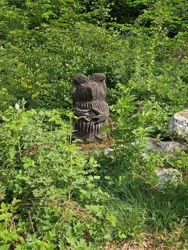 Rund um den Zauberwald (Traumschleife)