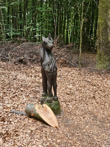 Rund um den Zauberwald (Traumschleife)