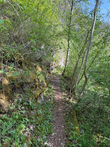 Premiumwanderweg: Ulfener Karst P20