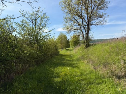 Premiumwanderweg: Ulfener Karst P20